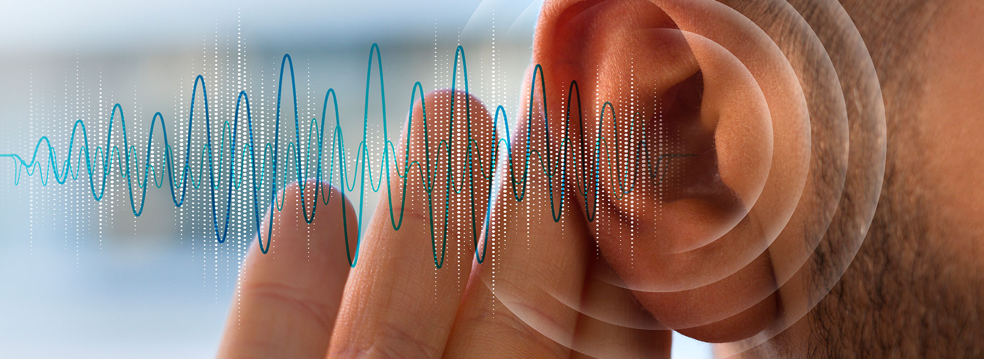 Understanding Your Ear Anatomy and Its Importance